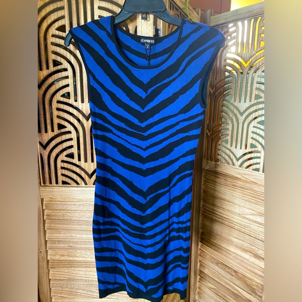 Express Knit Mini Dress